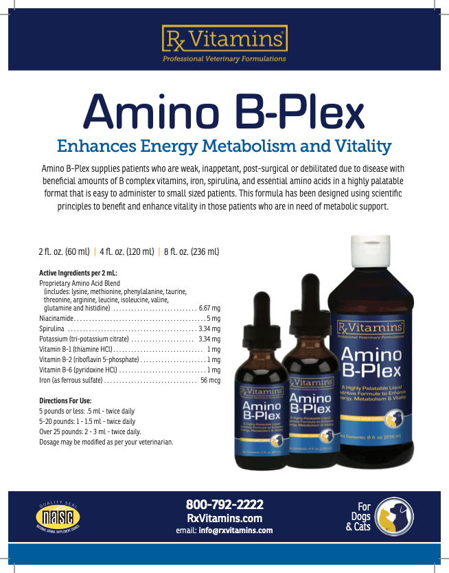 Rx Vitamins: Amino B-Plex - 2 fl oz.