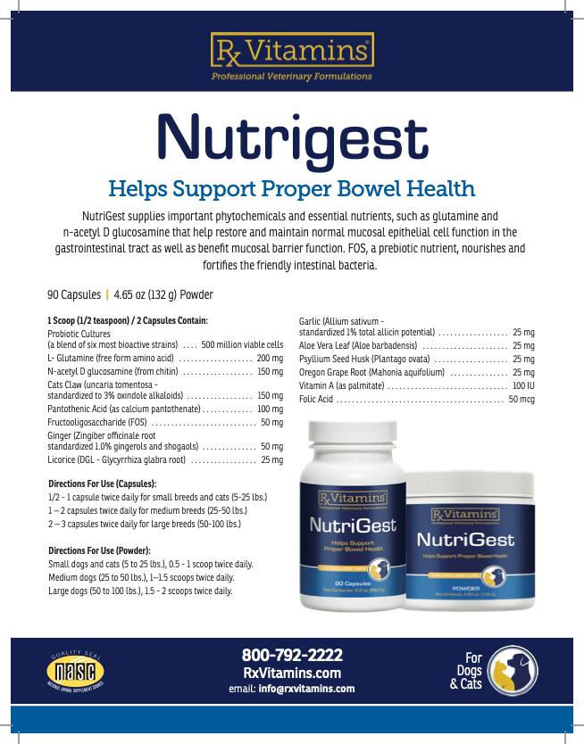 Rx Vitamins: Nutrigest Bulk Powder