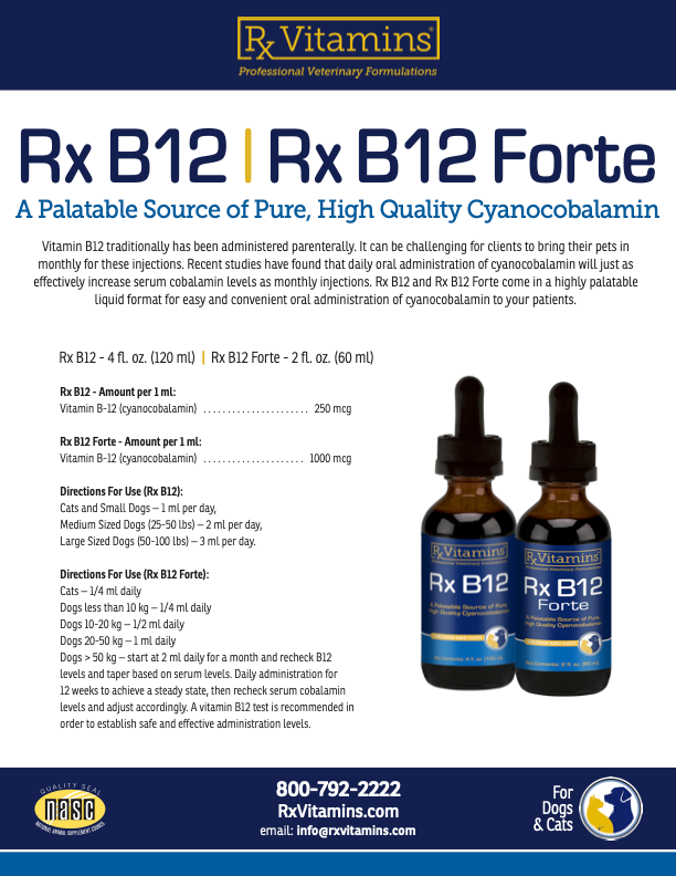 Rx Vitamins: Rx B12 Forte
